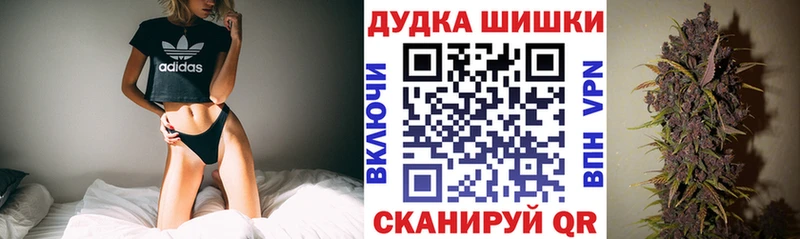 цена наркотик  Новоалександровск  гидра маркетплейс  Бошки Шишки White Widow 